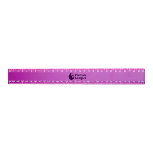30cm Budget Ruler With Double Sided Calibration - Grape